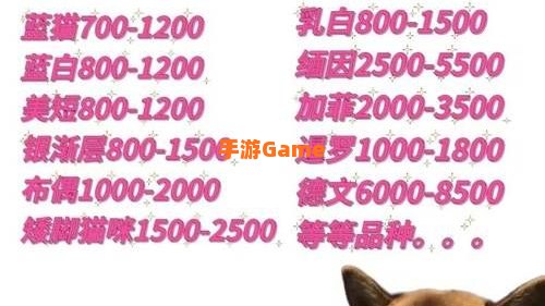 猫咪官网是多少啊