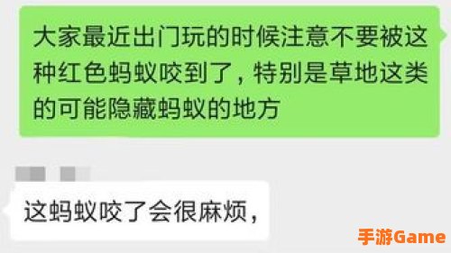 红火蚁的繁殖季节